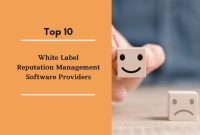empowering-agencies-the-strategic-advantage-of-white-label-reputation-management-software